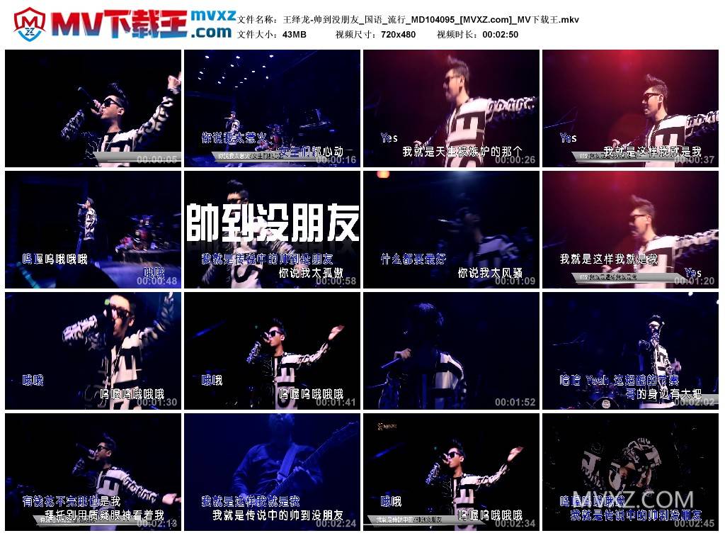 王绎龙-帅到没朋友_国语_流行_MD104095